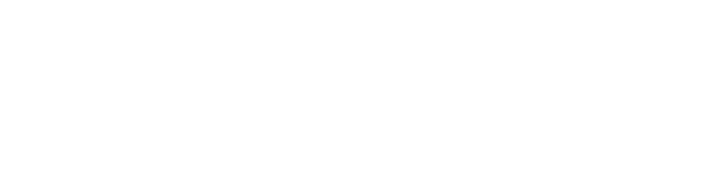 ZIN ZIN MOTOR